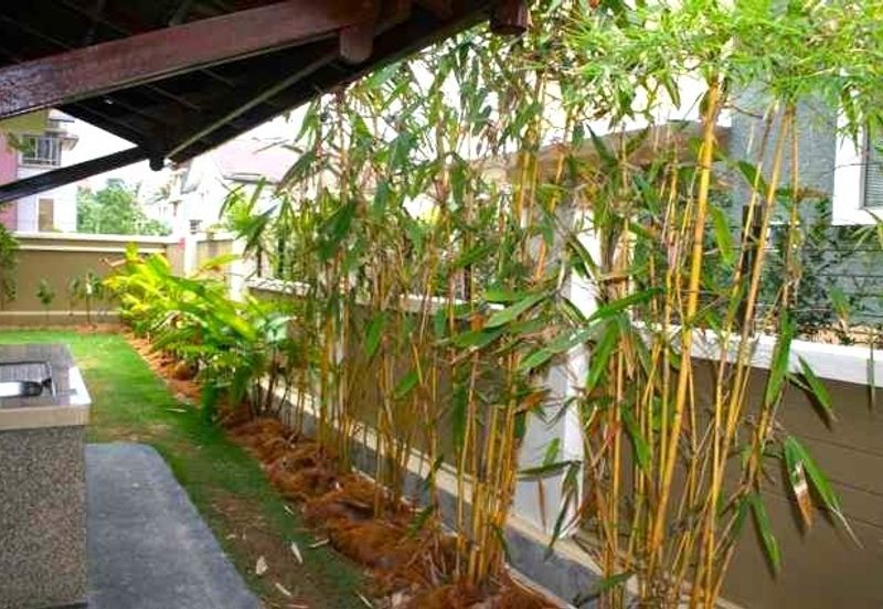 The Residence, Mont Kiara