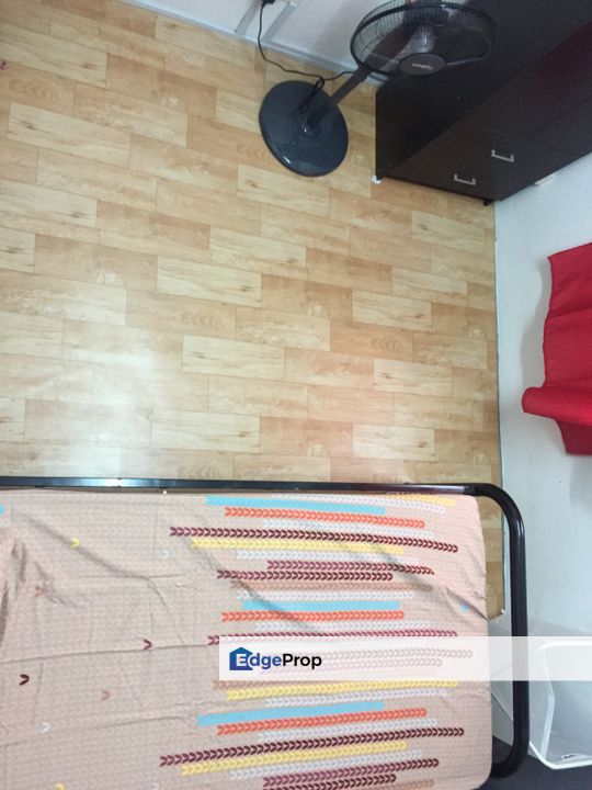 Sri Dahlia Apartment, Bandar Puteri Puchong, Puchong, selangor , Selangor, Bandar Puteri Puchong