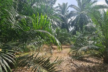 Teluk Panglima Garang