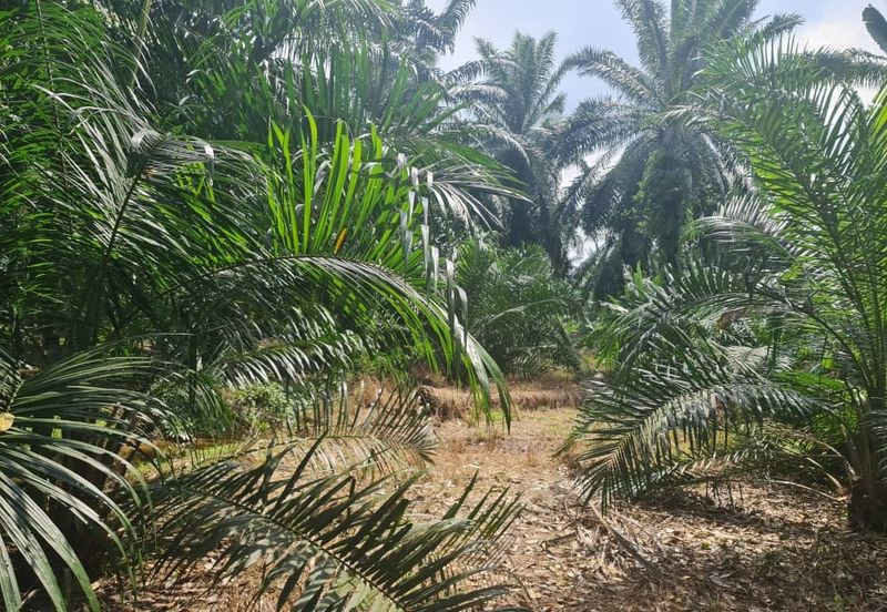 Teluk Panglima Garang
