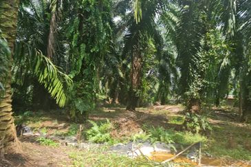 Teluk Panglima Garang