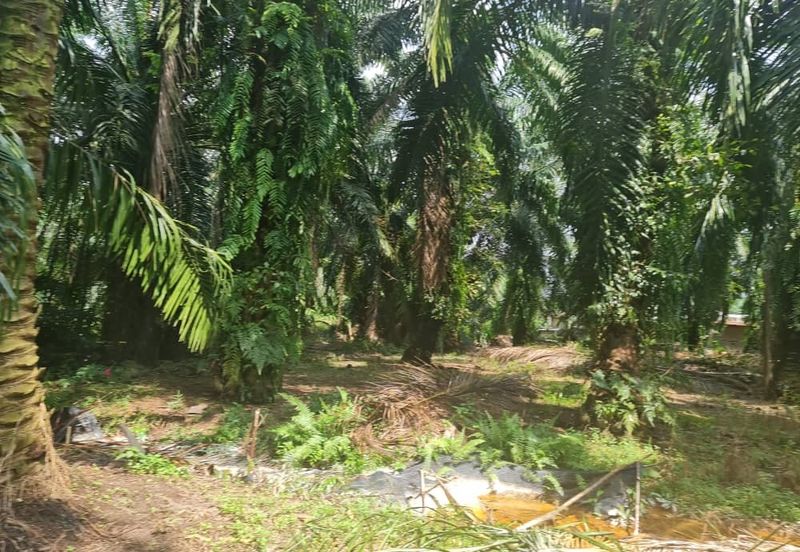 Teluk Panglima Garang