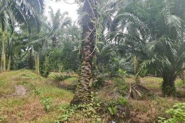 Teluk Panglima Garang
