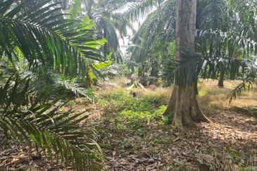 Teluk Panglima Garang