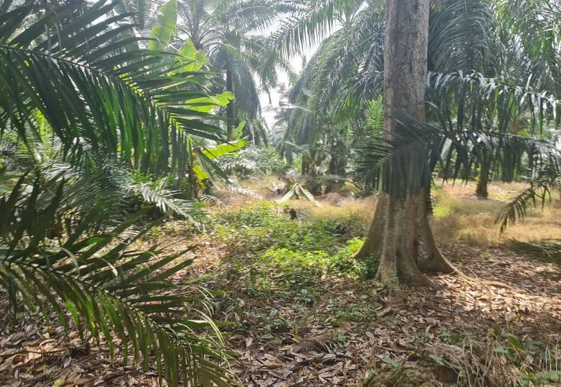 Teluk Panglima Garang
