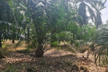 Teluk Panglima Garang