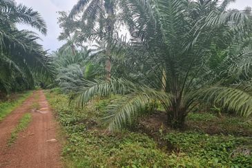 Teluk Panglima Garang