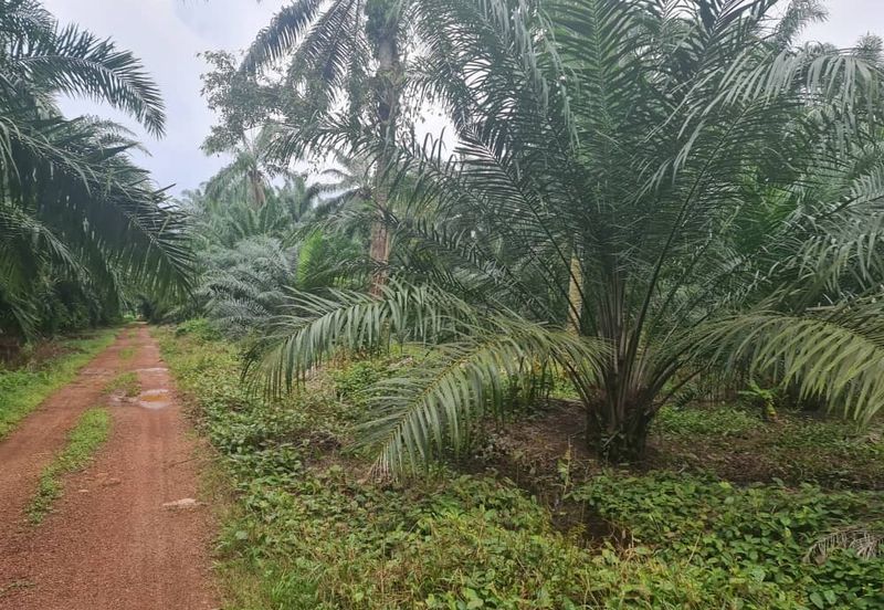 Teluk Panglima Garang