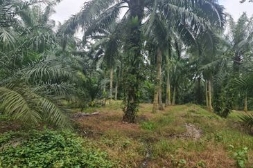 Teluk Panglima Garang