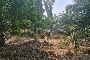 Teluk Panglima Garang