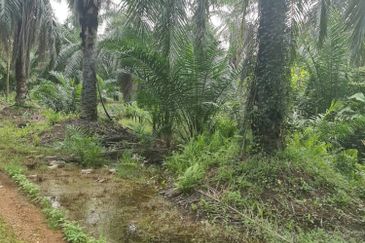 Teluk Panglima Garang