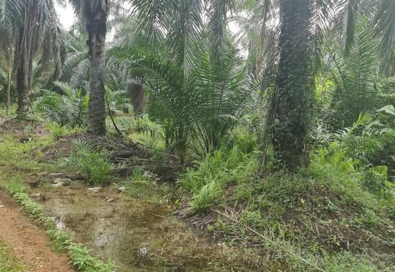 Teluk Panglima Garang