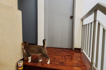 Taman Wawasan, Pusat Bandar Puchong