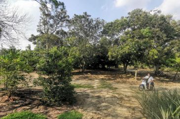 Mantin 3 Arce Agriculture Land, TNB & Water Supply