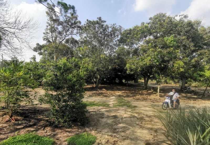 Mantin 3 Arce Agriculture Land, TNB & Water Supply