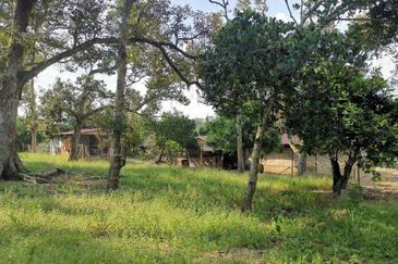 Mantin 3 Arce Agriculture Land, TNB & Water Supply