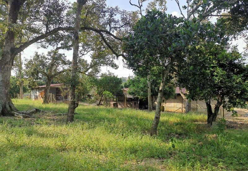 Mantin 3 Arce Agriculture Land, TNB & Water Supply