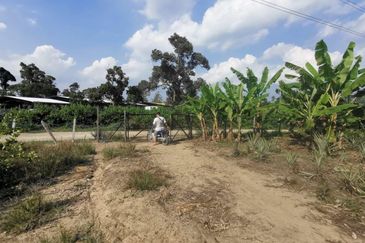 Mantin 3 Arce Agriculture Land, TNB & Water Supply