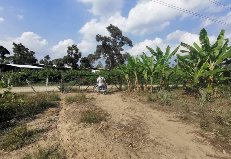 Mantin 3 Arce Agriculture Land, TNB & Water Supply