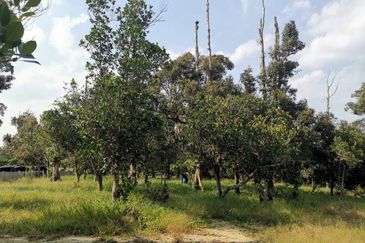 Mantin 3 Arce Agriculture Land, TNB & Water Supply