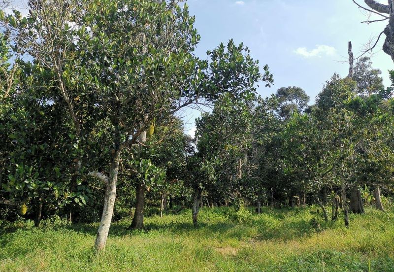 Mantin 3 Arce Agriculture Land, TNB & Water Supply