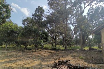 Mantin 3 Arce Agriculture Land, TNB & Water Supply