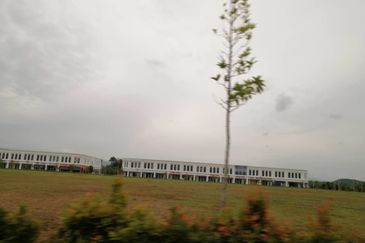 Whitten Eco Majestic