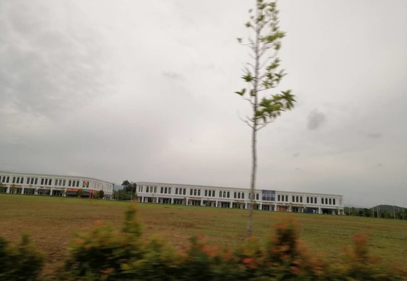 Whitten Eco Majestic