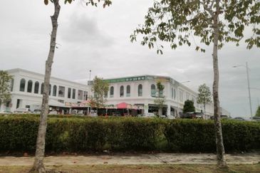 Whitten Eco Majestic