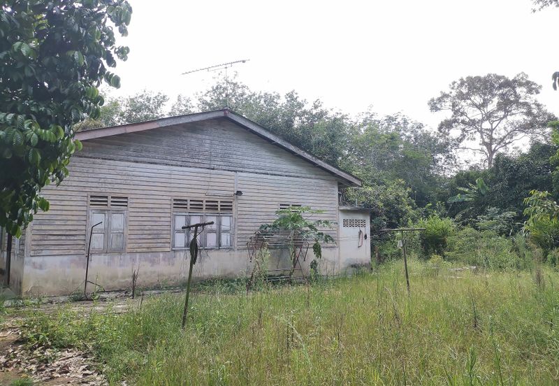 10 Arce Agriculture Land