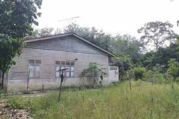 10 Arce Agriculture Land