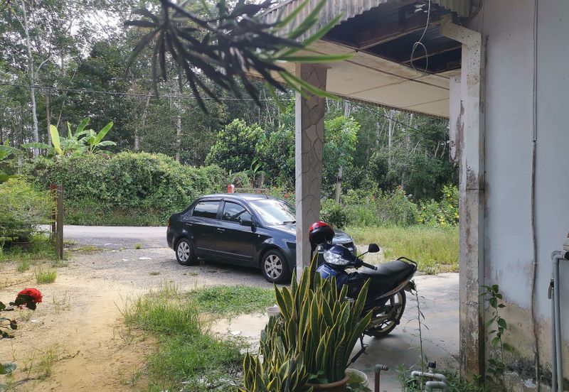 10 Arce Agriculture Land