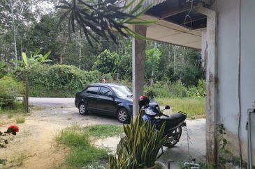 10 Arce Agriculture Land