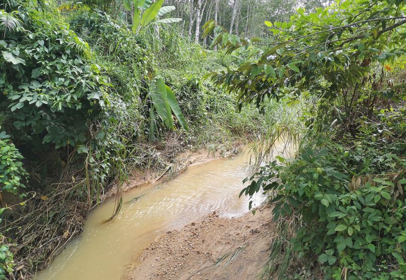 10 Arce Agriculture Land