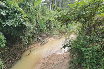 10 Arce Agriculture Land