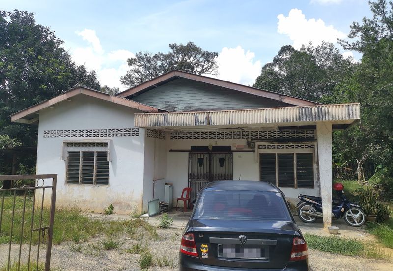 10 Arce Agriculture Land