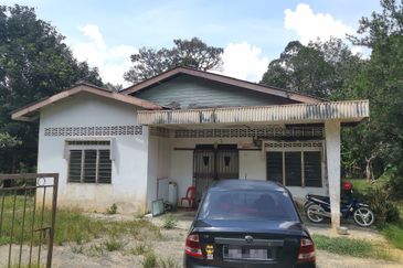 10 Arce Agriculture Land