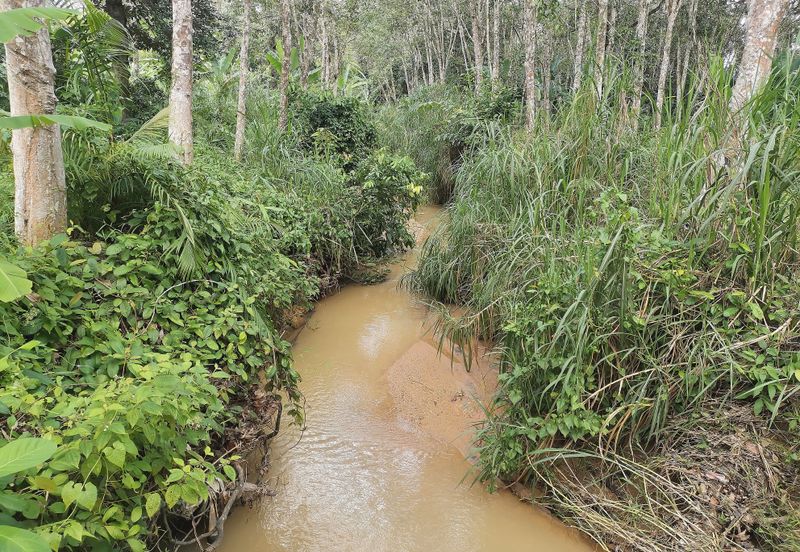 10 Arce Agriculture Land