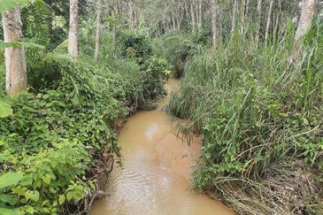 10 Arce Agriculture Land