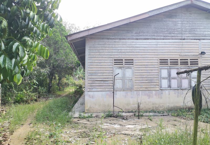 10 Arce Agriculture Land