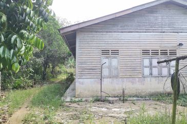 10 Arce Agriculture Land