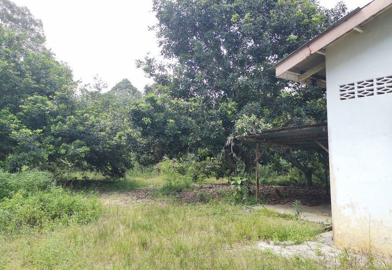 10 Arce Agriculture Land