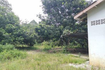 10 Arce Agriculture Land