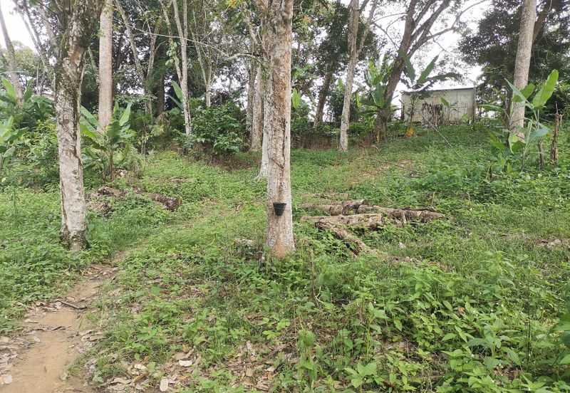 10 Arce Agriculture Land