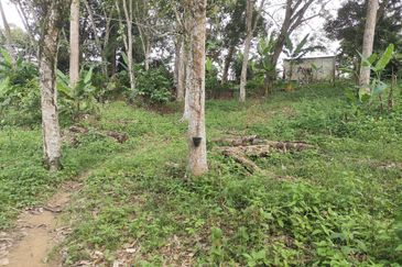 10 Arce Agriculture Land