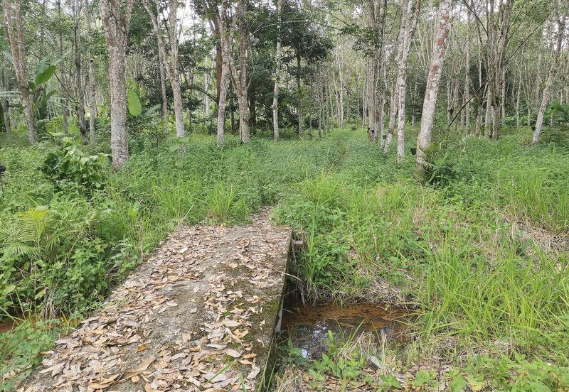 10 Arce Agriculture Land