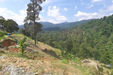 Kampung Mantin Dalam