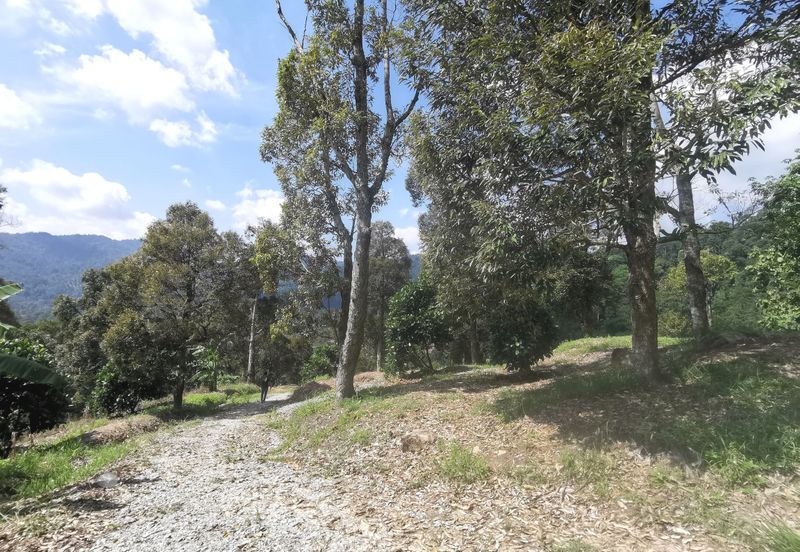 Kampung Mantin Dalam