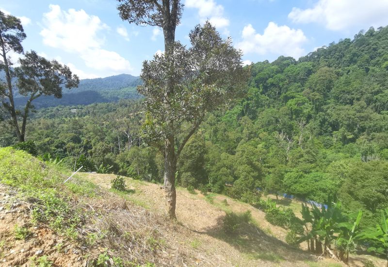 Kampung Mantin Dalam