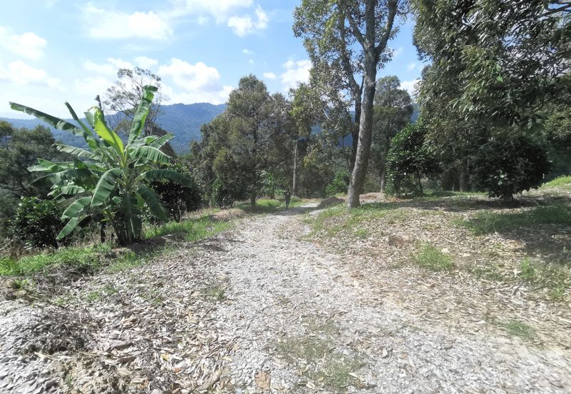 Kampung Mantin Dalam